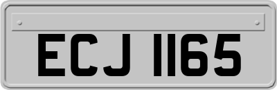 ECJ1165