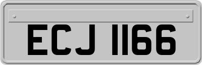 ECJ1166