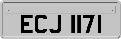 ECJ1171