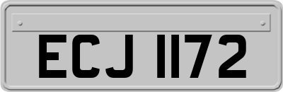ECJ1172