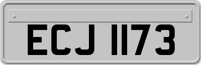 ECJ1173