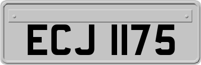 ECJ1175