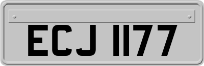 ECJ1177