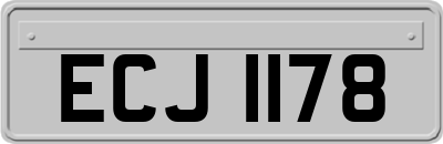 ECJ1178
