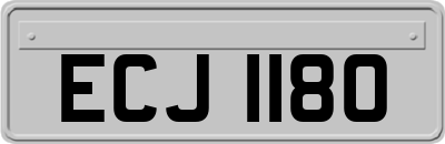 ECJ1180
