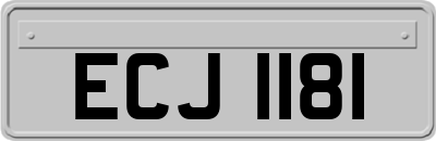 ECJ1181