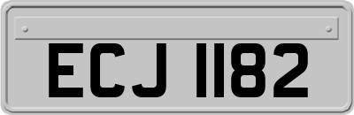 ECJ1182