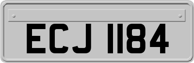 ECJ1184
