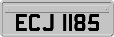 ECJ1185