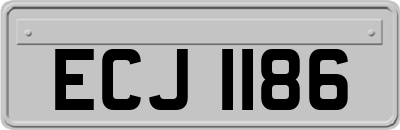ECJ1186