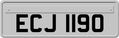 ECJ1190