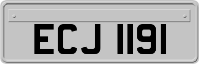 ECJ1191