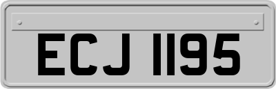 ECJ1195