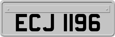 ECJ1196