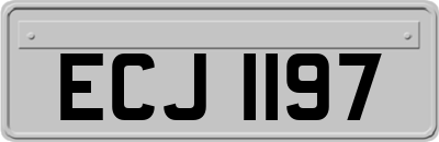 ECJ1197