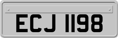 ECJ1198