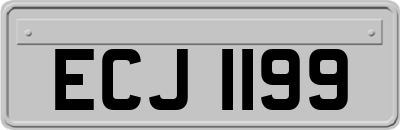 ECJ1199