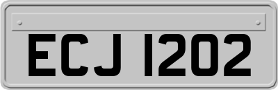 ECJ1202