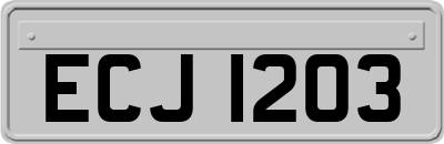 ECJ1203