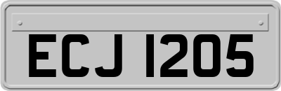 ECJ1205