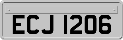 ECJ1206