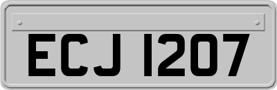 ECJ1207