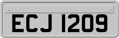 ECJ1209