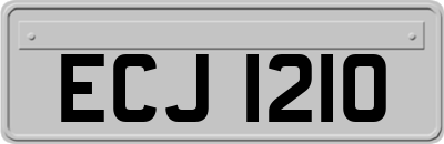 ECJ1210