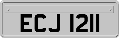 ECJ1211