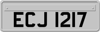 ECJ1217