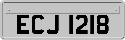 ECJ1218