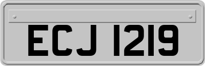 ECJ1219