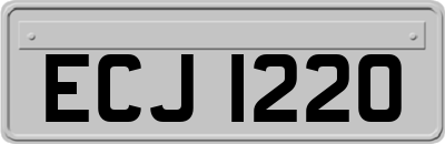 ECJ1220