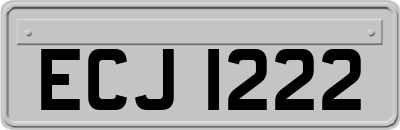 ECJ1222