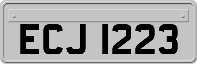 ECJ1223