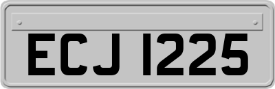 ECJ1225