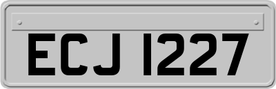 ECJ1227