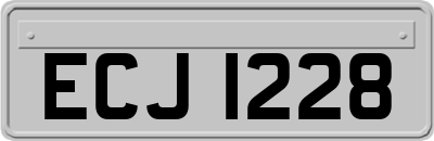 ECJ1228