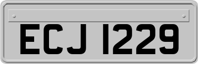 ECJ1229