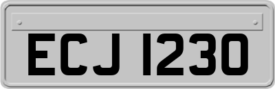 ECJ1230