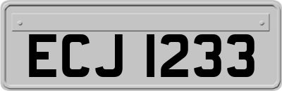 ECJ1233