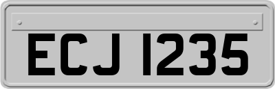 ECJ1235