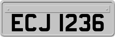 ECJ1236