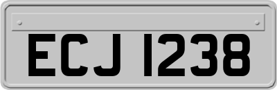 ECJ1238