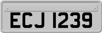 ECJ1239