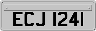 ECJ1241