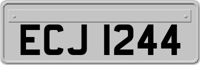 ECJ1244