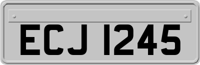 ECJ1245