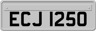 ECJ1250