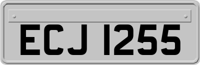ECJ1255